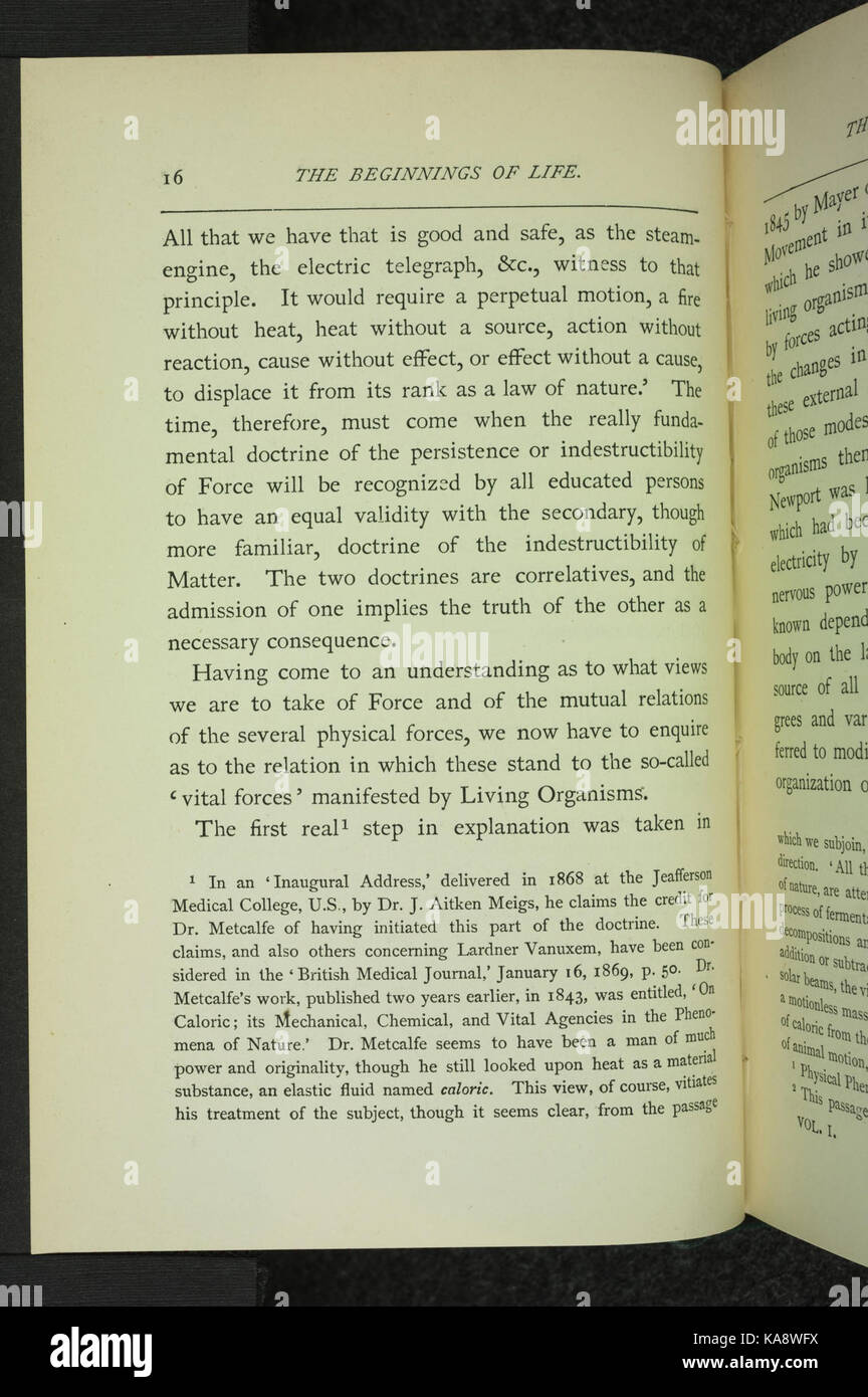 Die Anfänge des Lebens (Seite 16) BHL 34479770 Stockfoto