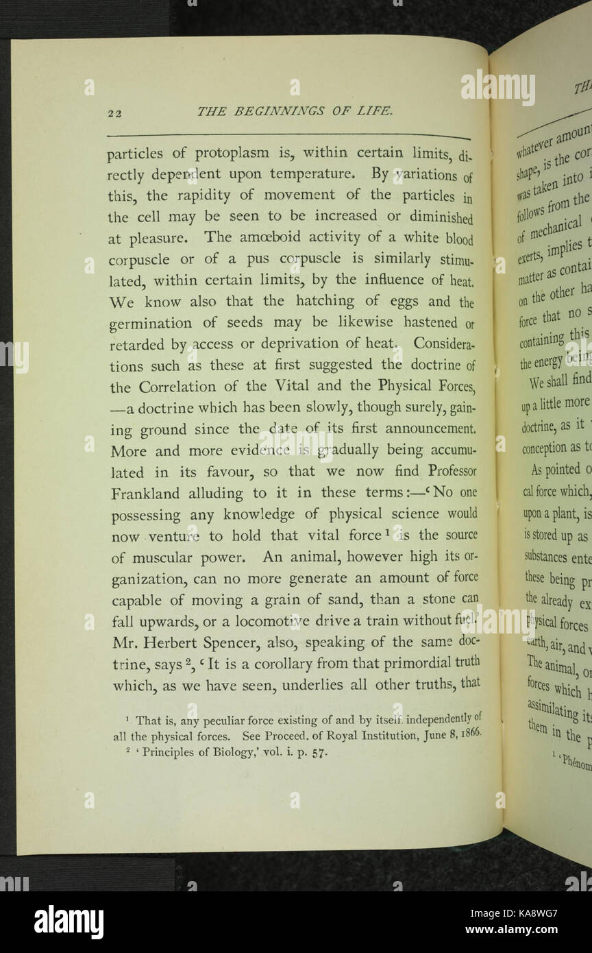 Die Anfänge des Lebens (Seite 22) BHL 34479776 Stockfoto