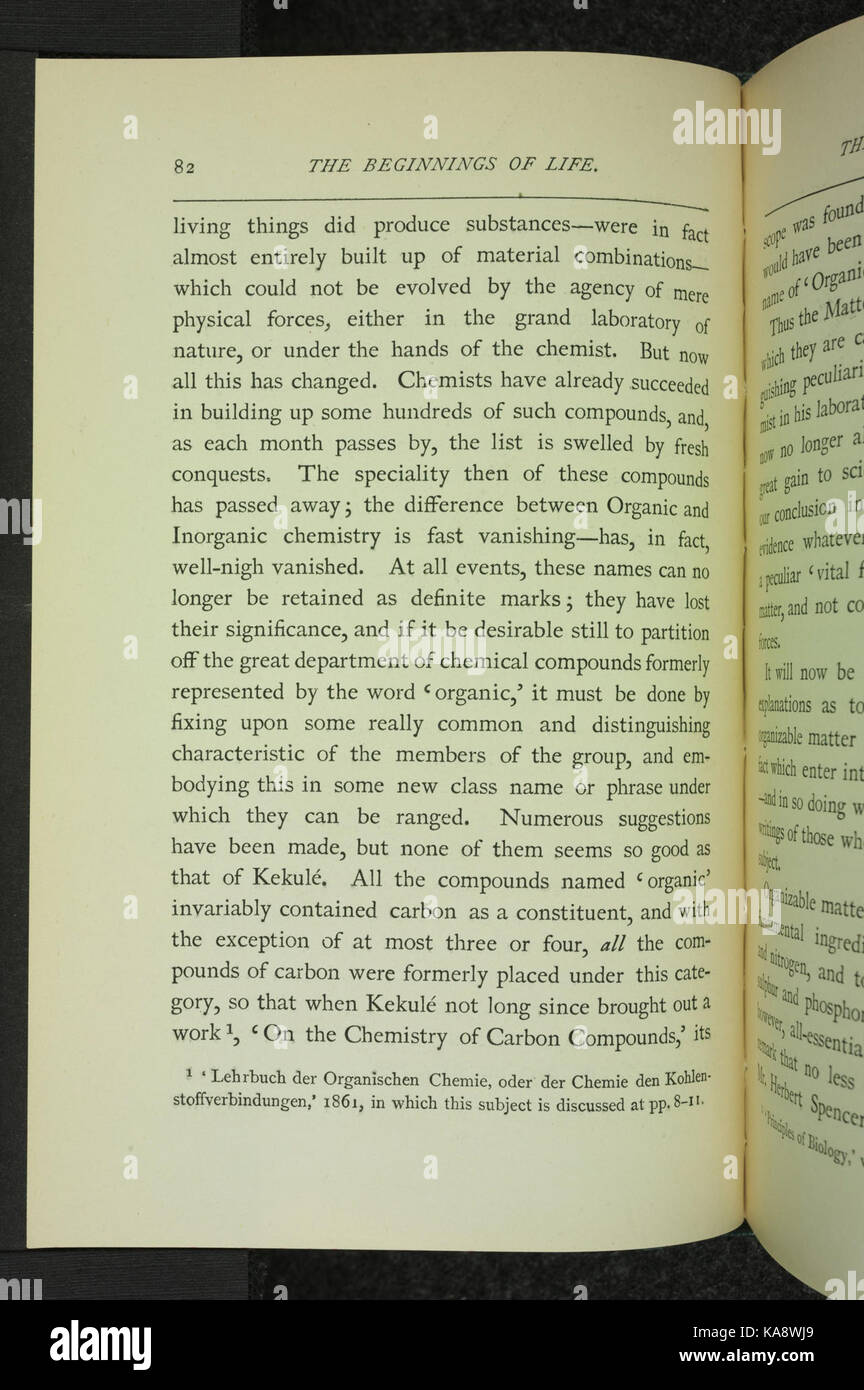 Die Anfänge des Lebens (Seite 82) BHL 34479836 Stockfoto