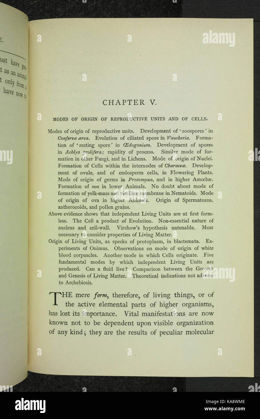 Die Anfänge des Lebens BHL 34479923 Stockfoto