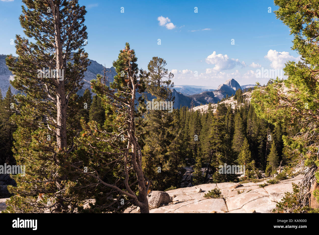 Eine Ansicht aus Olmsted Point in Richtung Half Dome, Yosemite National Park, Kalifornien, USA Stockfoto