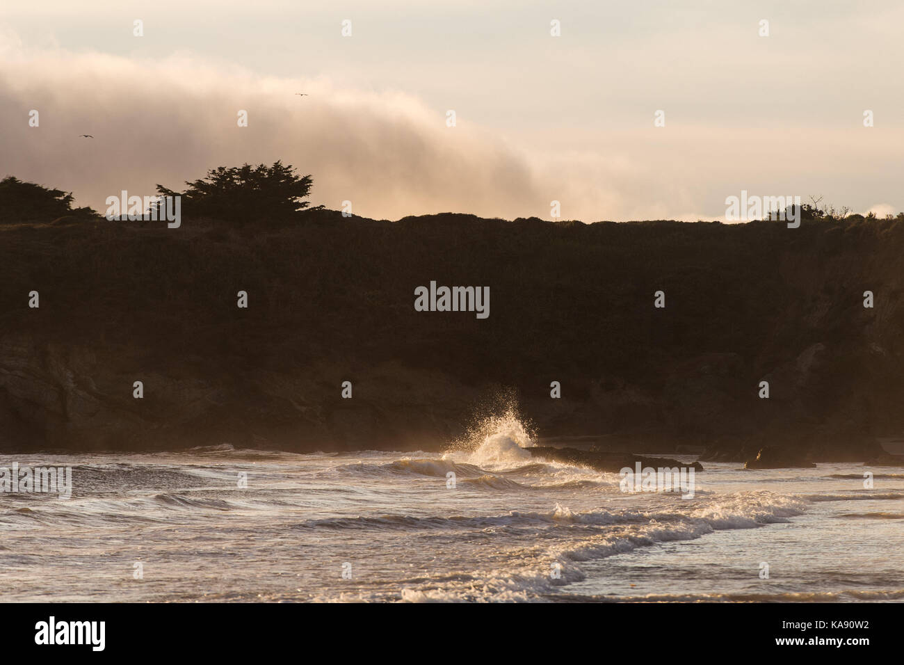 Eine Welle schlägt einen Rock bei Sonnenuntergang am Strand in San Simeon, Kalifornien, USA Stockfoto