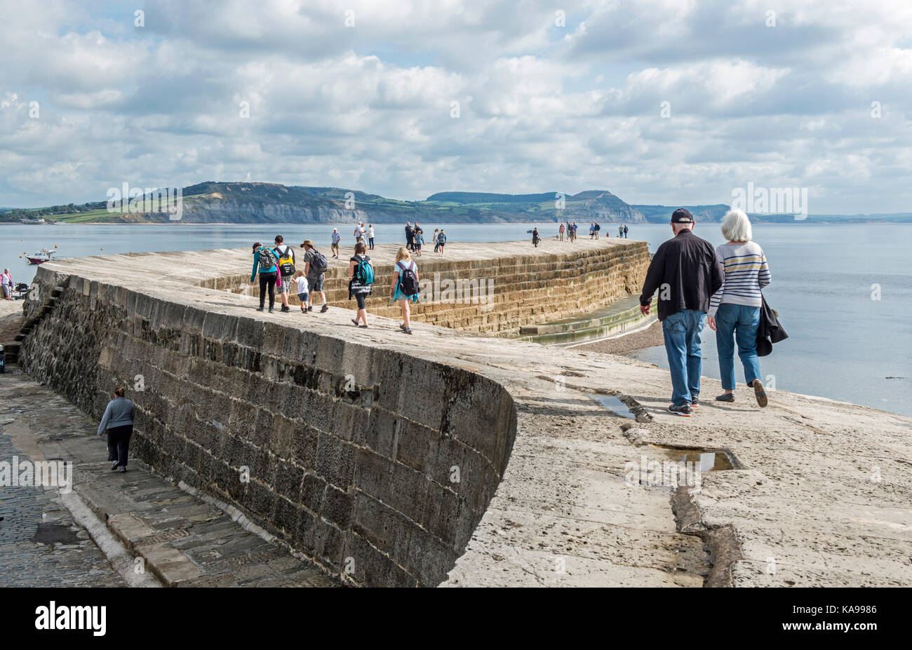 Der Cobb in Lyme Regis, Dorset England Stockfoto