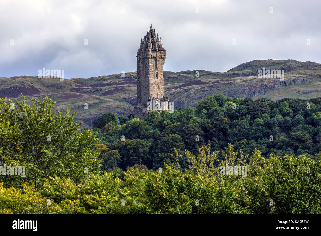 Wallace Monument, Stirling, Falkirk, Schottland, Vereinigtes Königreich Stockfoto