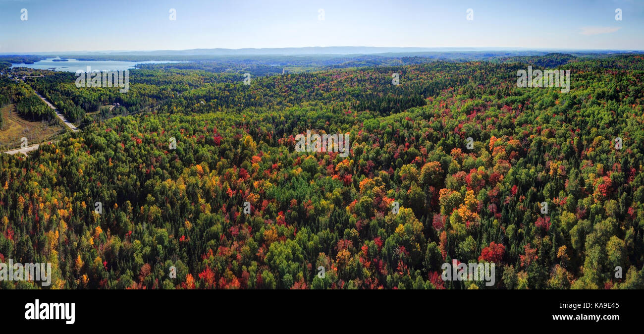 Schöne Panorama Luftbild von bunten Herbst Wald Stockfoto