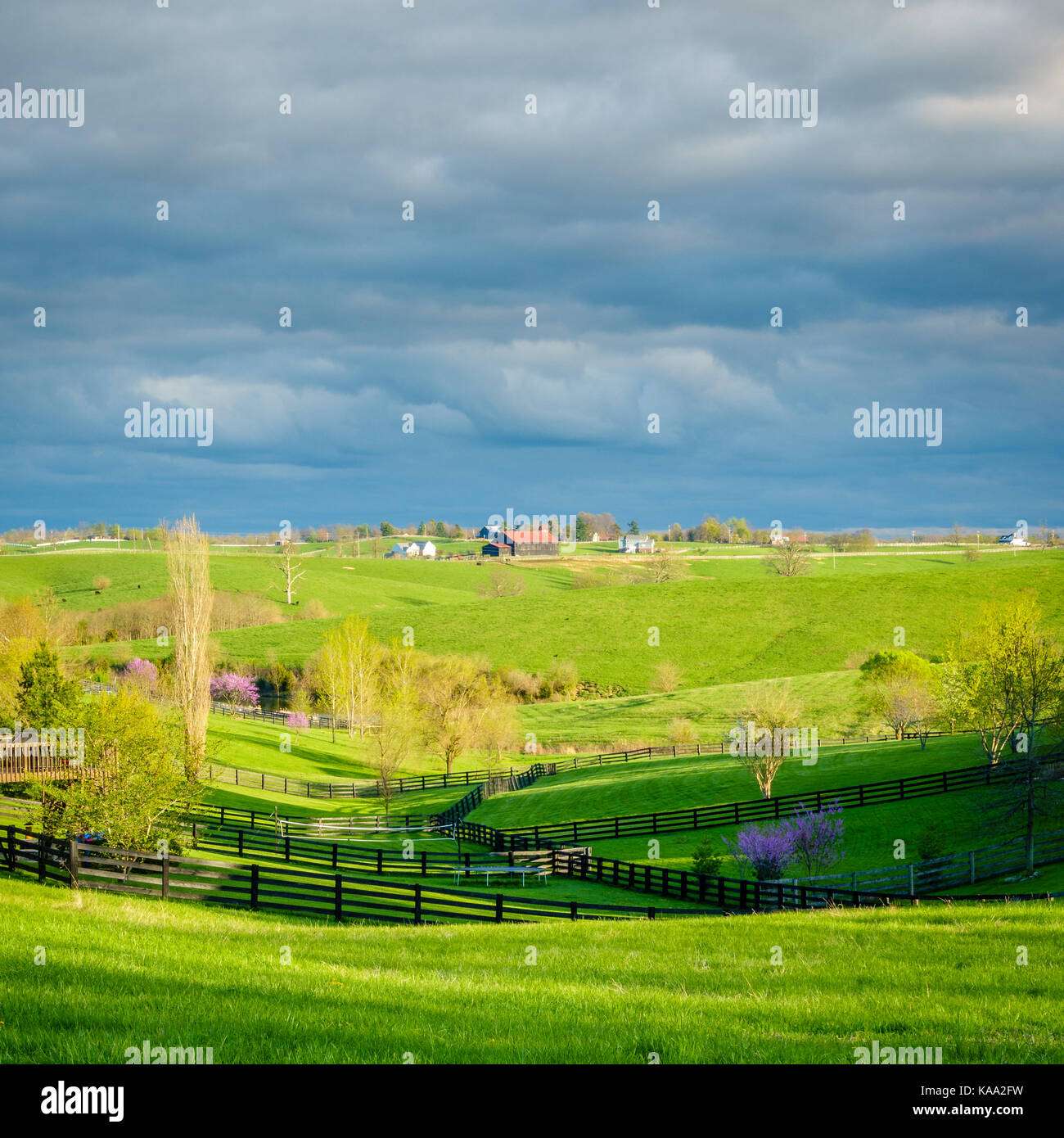 Schönen Frühling Szene in Kentucky Bluegrass Region Stockfoto