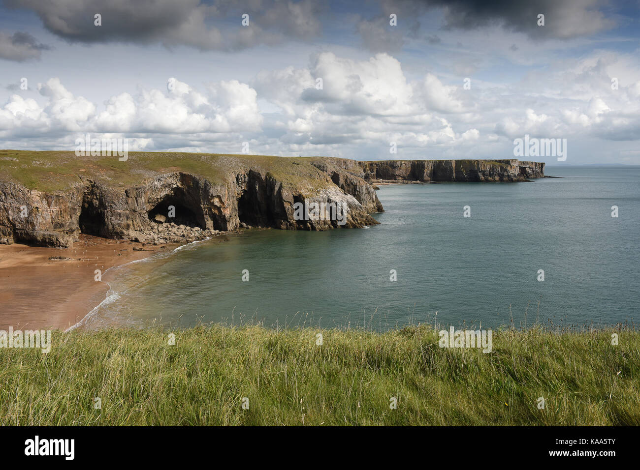 Der Pembrokeshire Coast am Aufbau Kopf in South Pembrokeshire in West Wales. Stockfoto