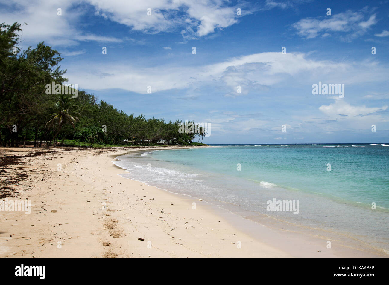 Schöner Strand in der Badewanne an der Ostküste von Barbados Stockfoto