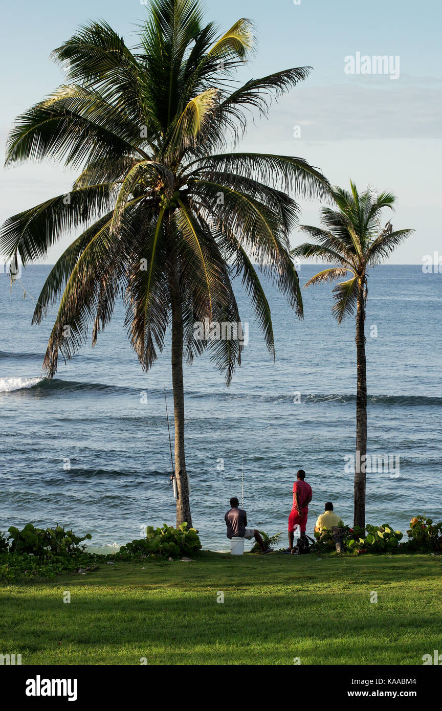 Drei Männer line - Angeln auf Bathsheba Beach - Ostküste von Barbados Stockfoto