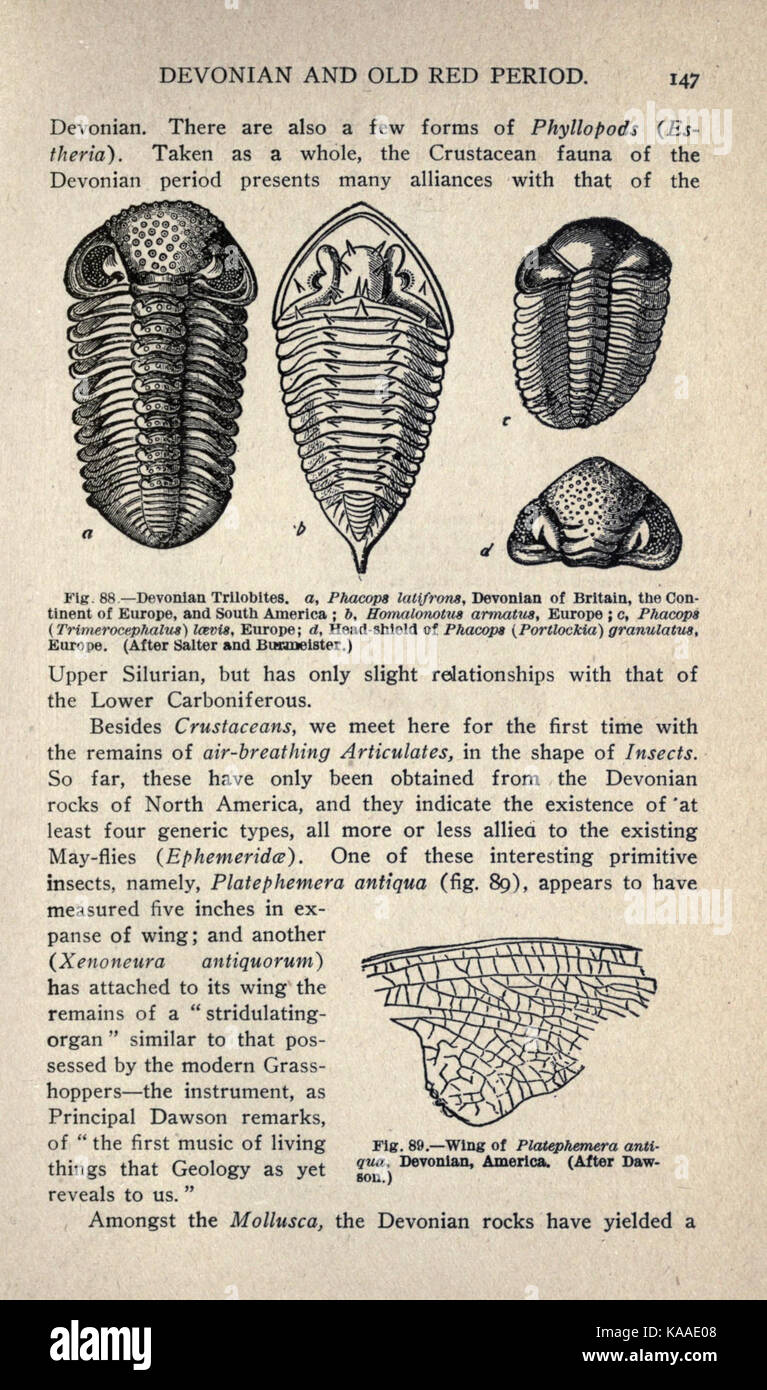 Die alten Leben Geschichte der Erde (Seite 147) BHL 43381543 Stockfoto