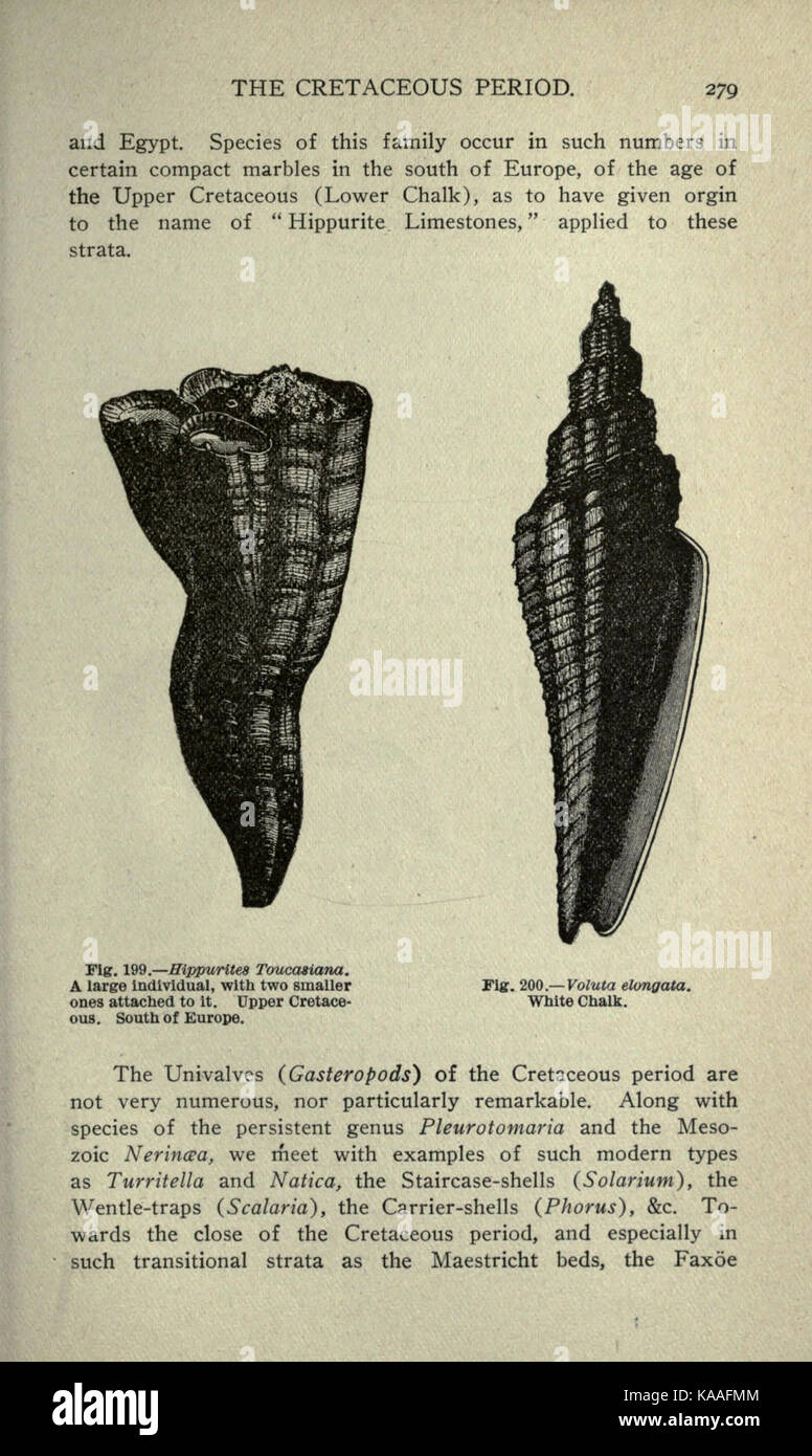 Die alten Leben Geschichte der Erde (Seite 279) BHL 18084193 Stockfoto