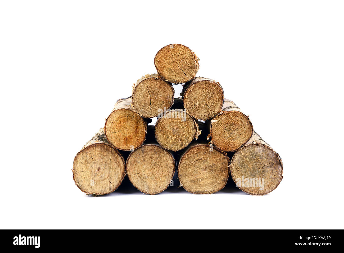 Birke brennholz isoliert Stapel Stockfoto