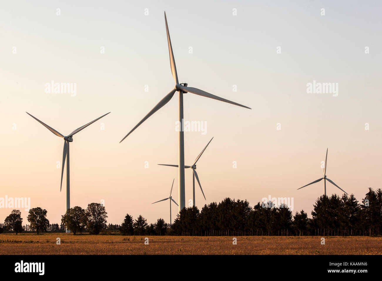 Windenergieanlagen in einem Windpark für Bewässerung und alternative Energieerzeugung. Stockfoto