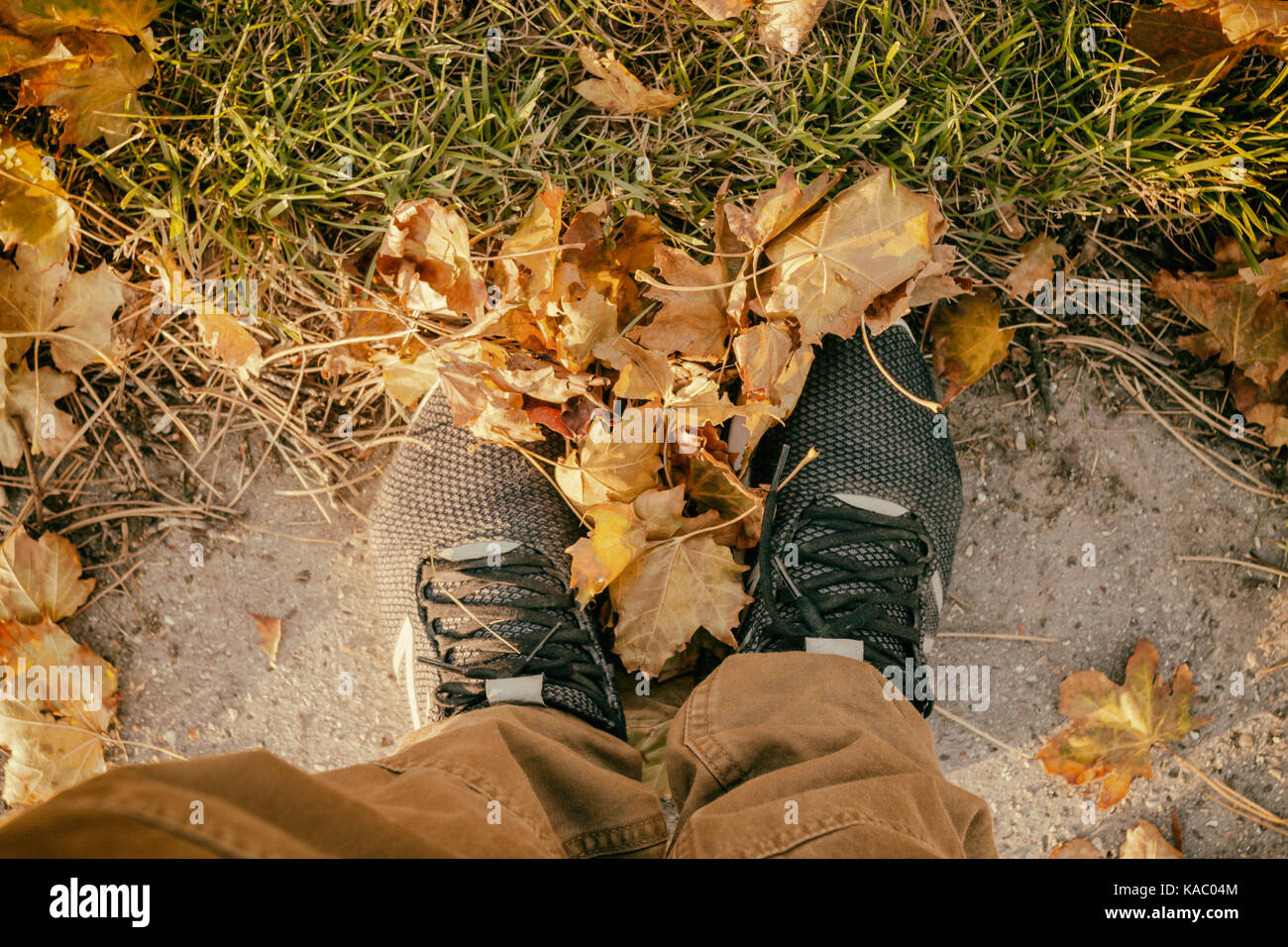 Auf der Suche nach Schuhe, Herbst Ahorn Blätter Stockfoto