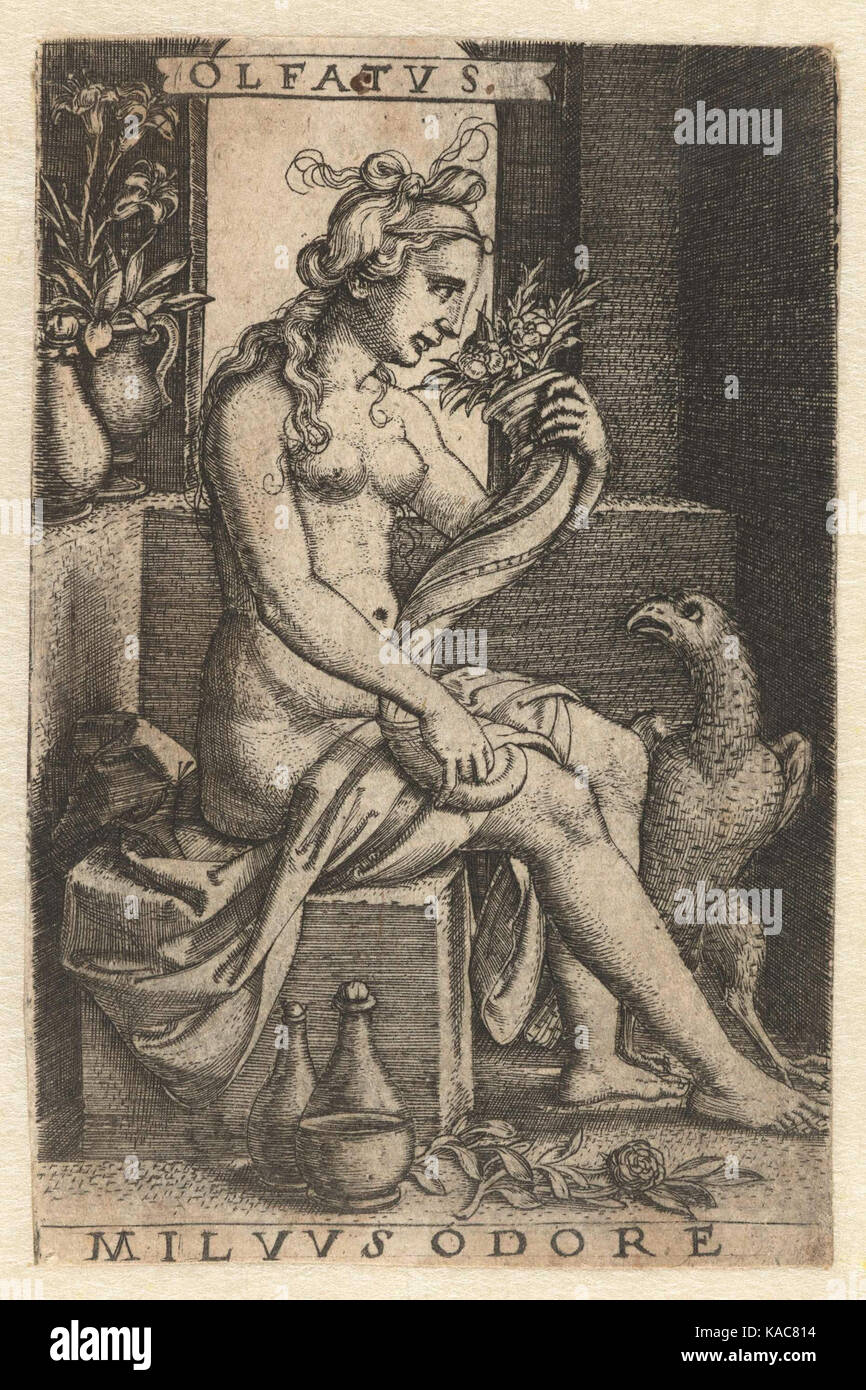 Dieser Titel bezieht sich auf „Reuk (Olfactus)“, einen Begriff, der mit dem Geruchssinn verwandt ist, auch bekannt als Geruchssinn. Es könnte sich um ein Kunstwerk, eine wissenschaftliche Studie oder eine sinnliche Erforschung dieses Sinnes handeln. Stockfoto