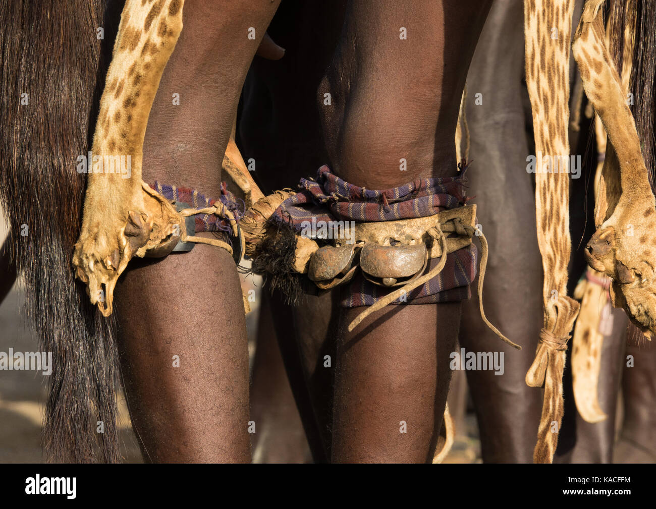 Dassanech Dimi Zeremonie Beschneidung von Teenagern, Sies zu feiern, Turkana County, Omorate, Äthiopien Stockfoto