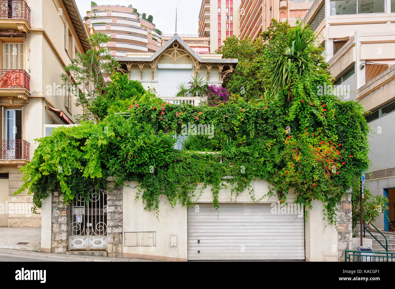 Ein Patch von Grün in der Betonwüste - Monaco Stockfoto