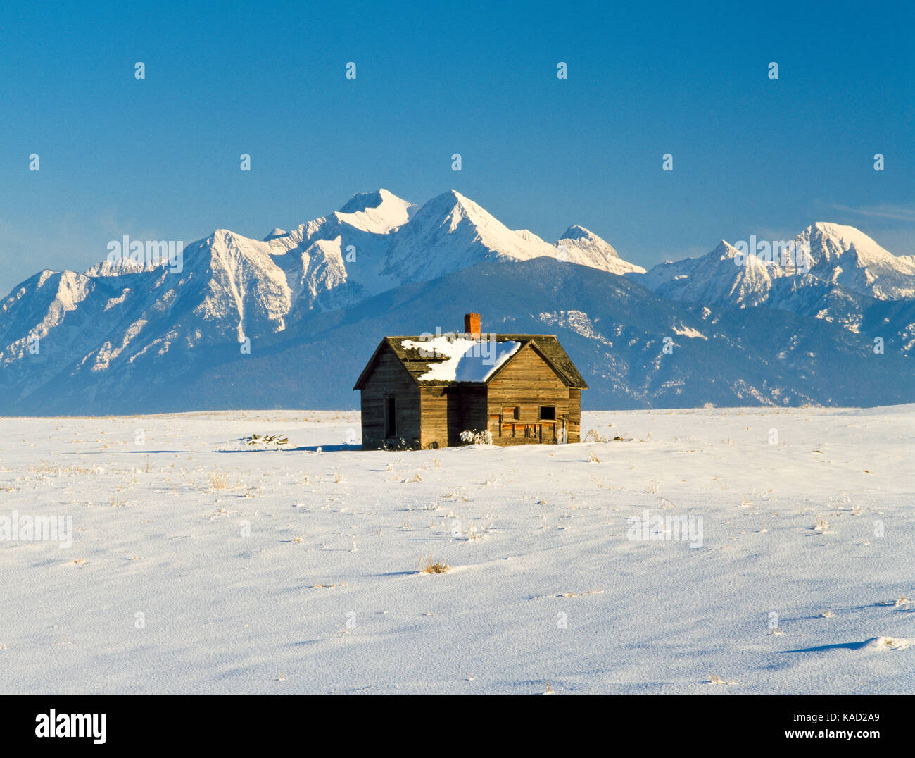 Homestead Kabine in einer verschneiten Landschaft unterhalb der Mission Berge in der Nähe von Ronan, Montana Stockfoto