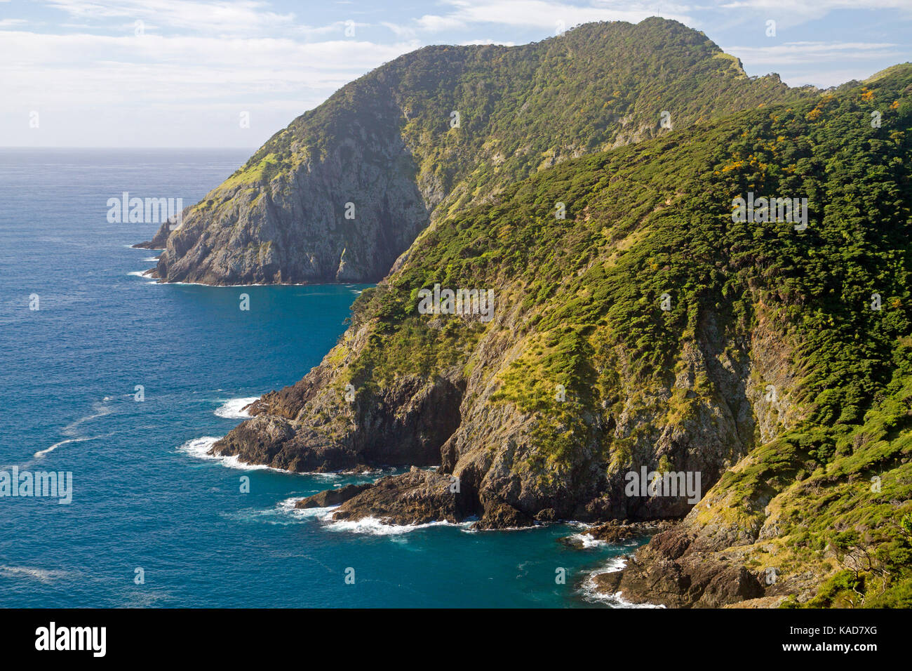 Küste bei Cape Brett in der Bucht der Inseln Stockfoto