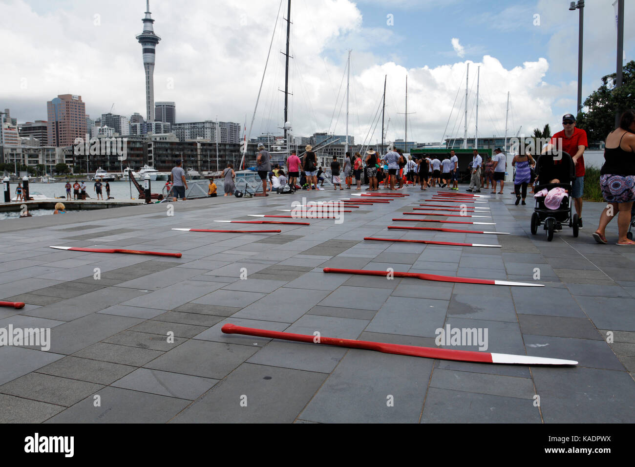 Maori paddeln Rudern in Auckland, Neuseeland Stockfoto
