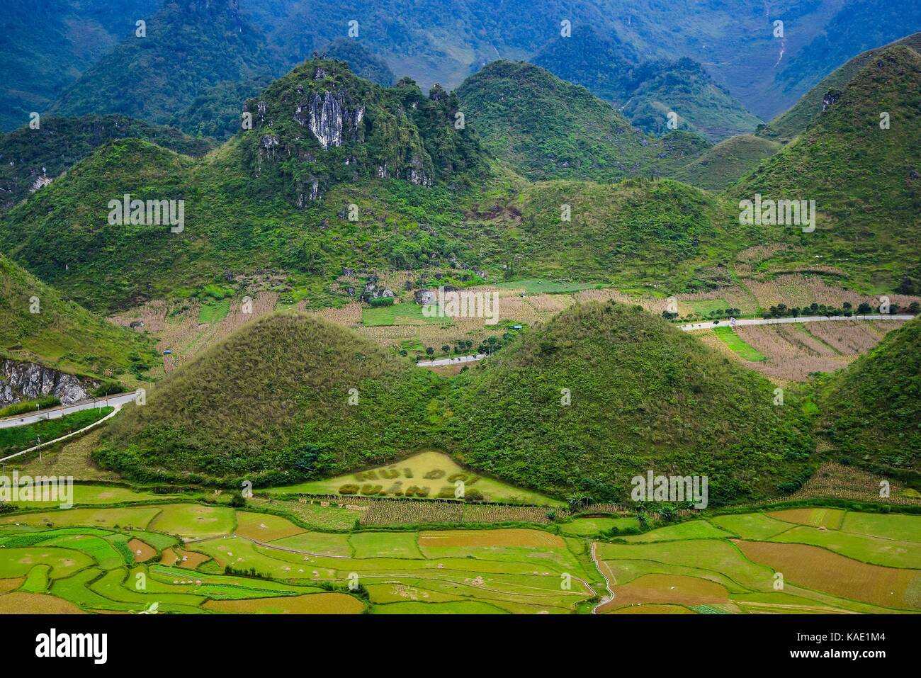 Fairy Busen ist in der Tam Sohn Stadt, Quan Ba Bezirk, Provinz Ha Giang, Vietnam. Im September bunten Felder eine einzigartige Landschaft, die bunte Mischung Stockfoto