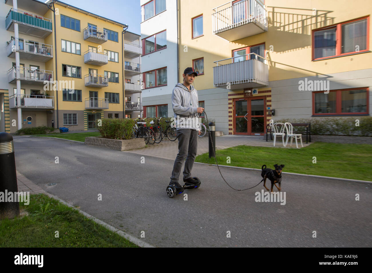 En man rastar sin Hund med en Hoverboard, Sollentuna, Sverige. Stockfoto