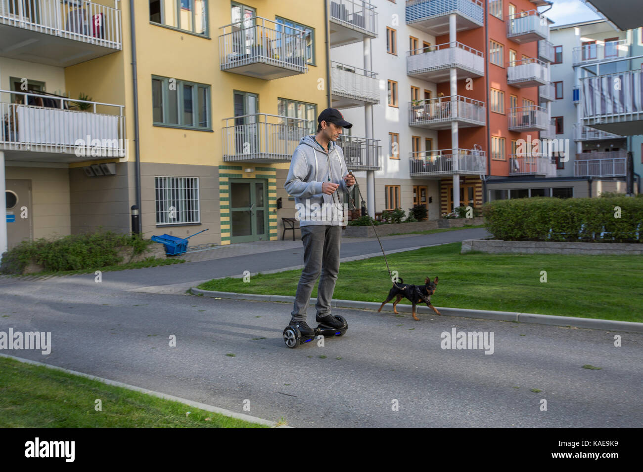 En man rastar sin Hund med en Hoverboard, Sollentuna, Sverige. Stockfoto
