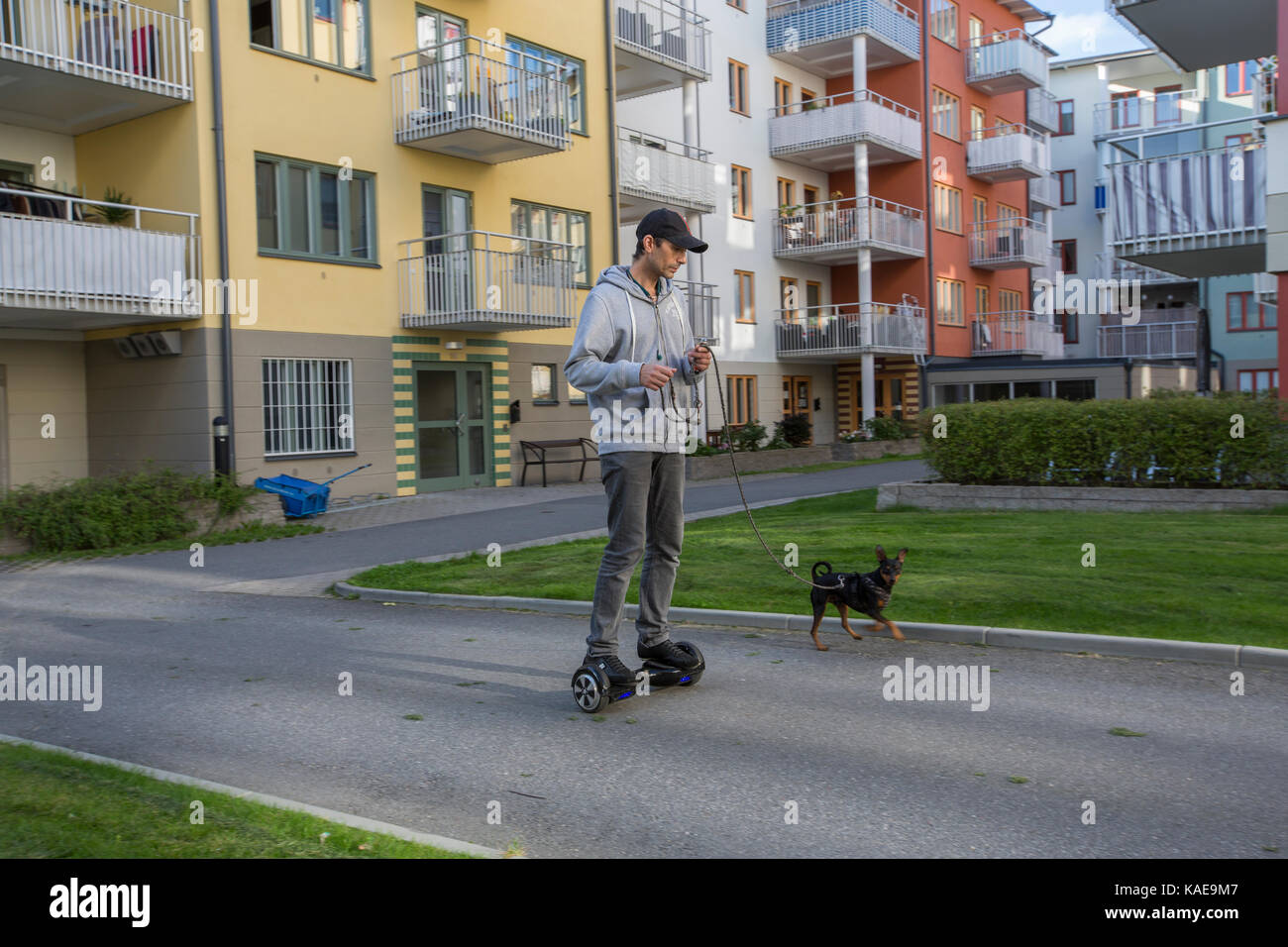 En man rastar sin Hund med en Hoverboard, Sollentuna, Sverige. Stockfoto