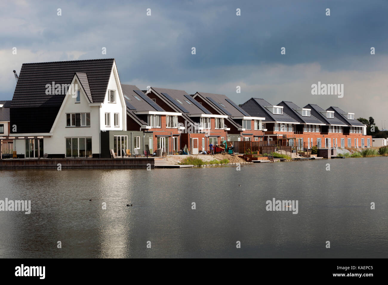 Neue Nachbarschaft in der Nähe von Wasser in den Niederlanden Stockfoto