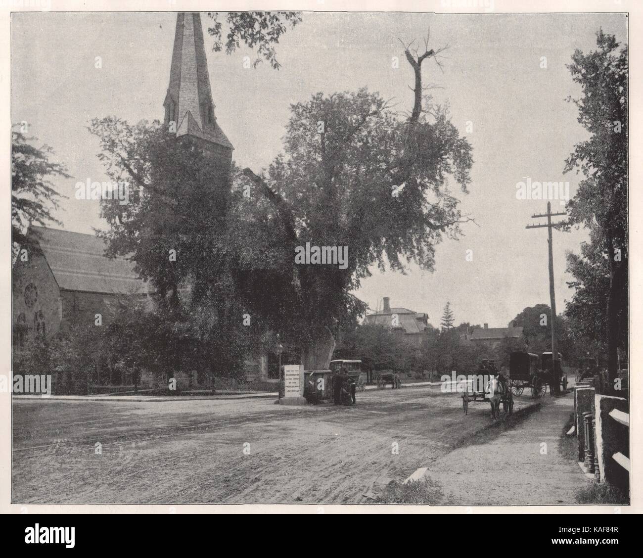 Washington Elm und Gedenkstein, Cambridge, Masse Stockfoto