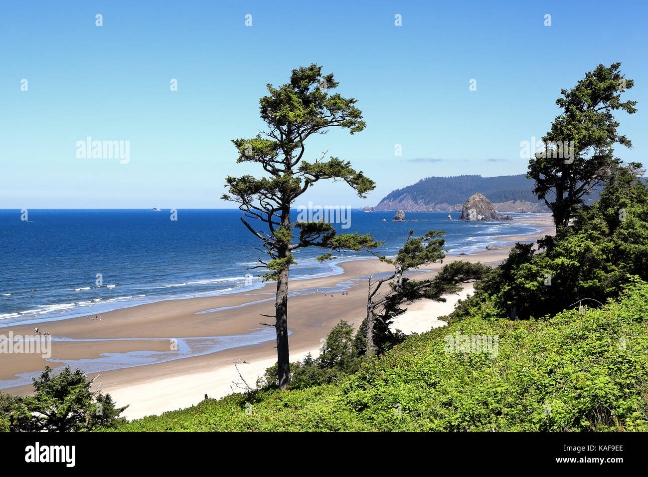 Cannon Beach mit Haystack Rock im pazifischen Nordwesten Stockfoto