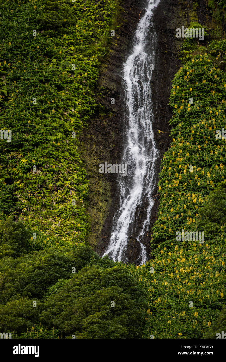 Versteckter Wasserfall Stockfoto