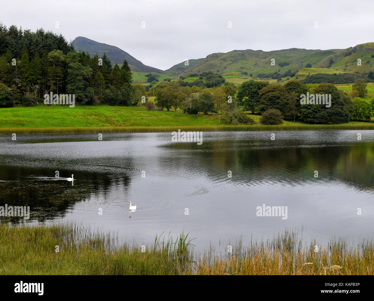 Doon Lough oder Foleys Pound in Leitrim County in der Nähe von Sligo, Irland Stockfoto