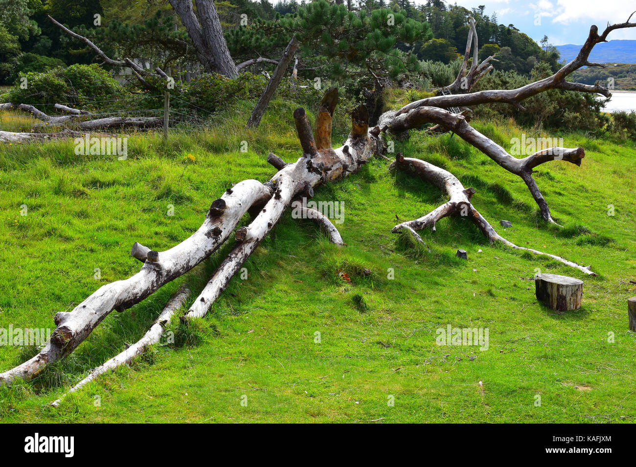 Schloss Tioram - ardnamurchan Halbinsel - Schottland Stockfoto