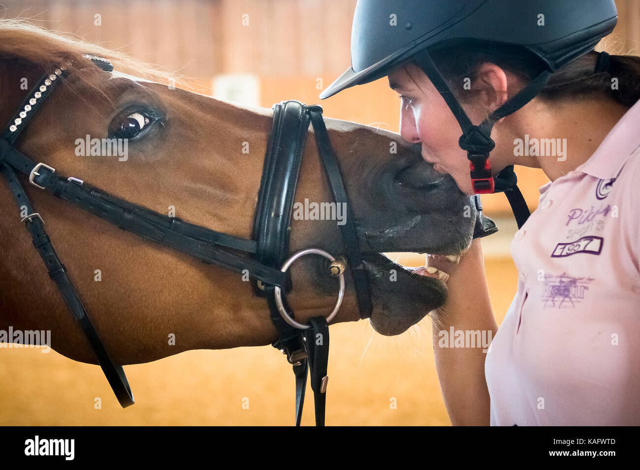 Warmblut. Reiter Lisa Mueller Glättung mit Kastanie Pferd. Deutschland Stockfoto