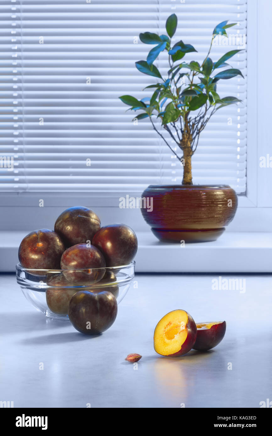 Große dunkle Pflaumen in einer Glasplatte auf einen Tisch und einen Ficus in einem keramischen Topf auf der Fensterbank vor dem Hintergrund eines Fensters mit einem Rahmen aus Kunststoff und Jalousien Stockfoto