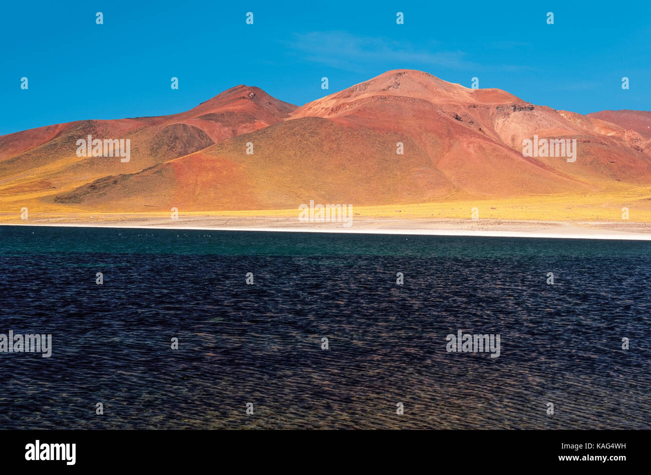 Amerika Chile altiplano der Region Antofagasta -Lagune Miscanti -Miñiques Vulkan und Cerro Miscanti Turm über diesem See Stockfoto