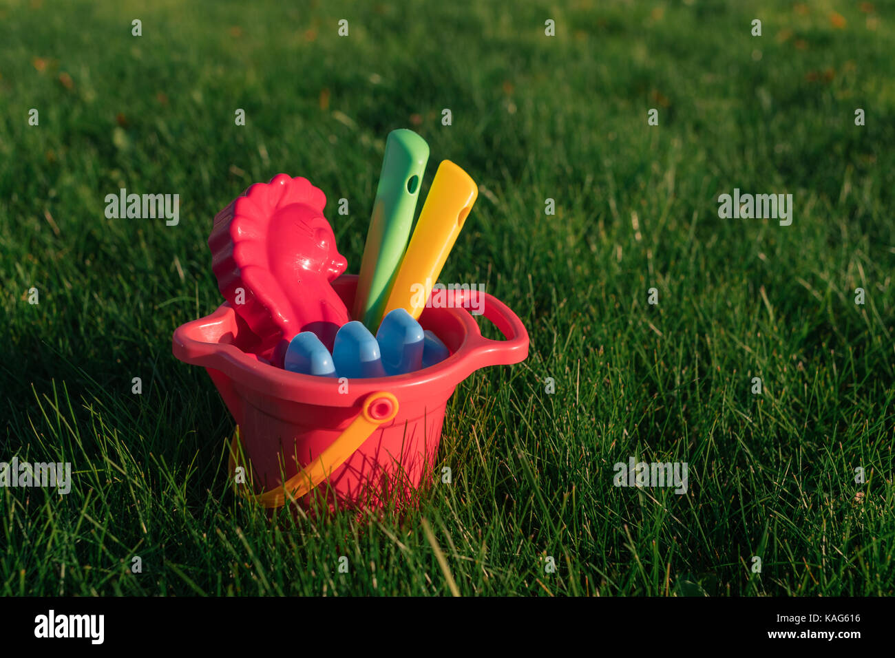 Bunte Spielzeug der Kinder in einem Eimer auf einer grünen Wiese. Stockfoto