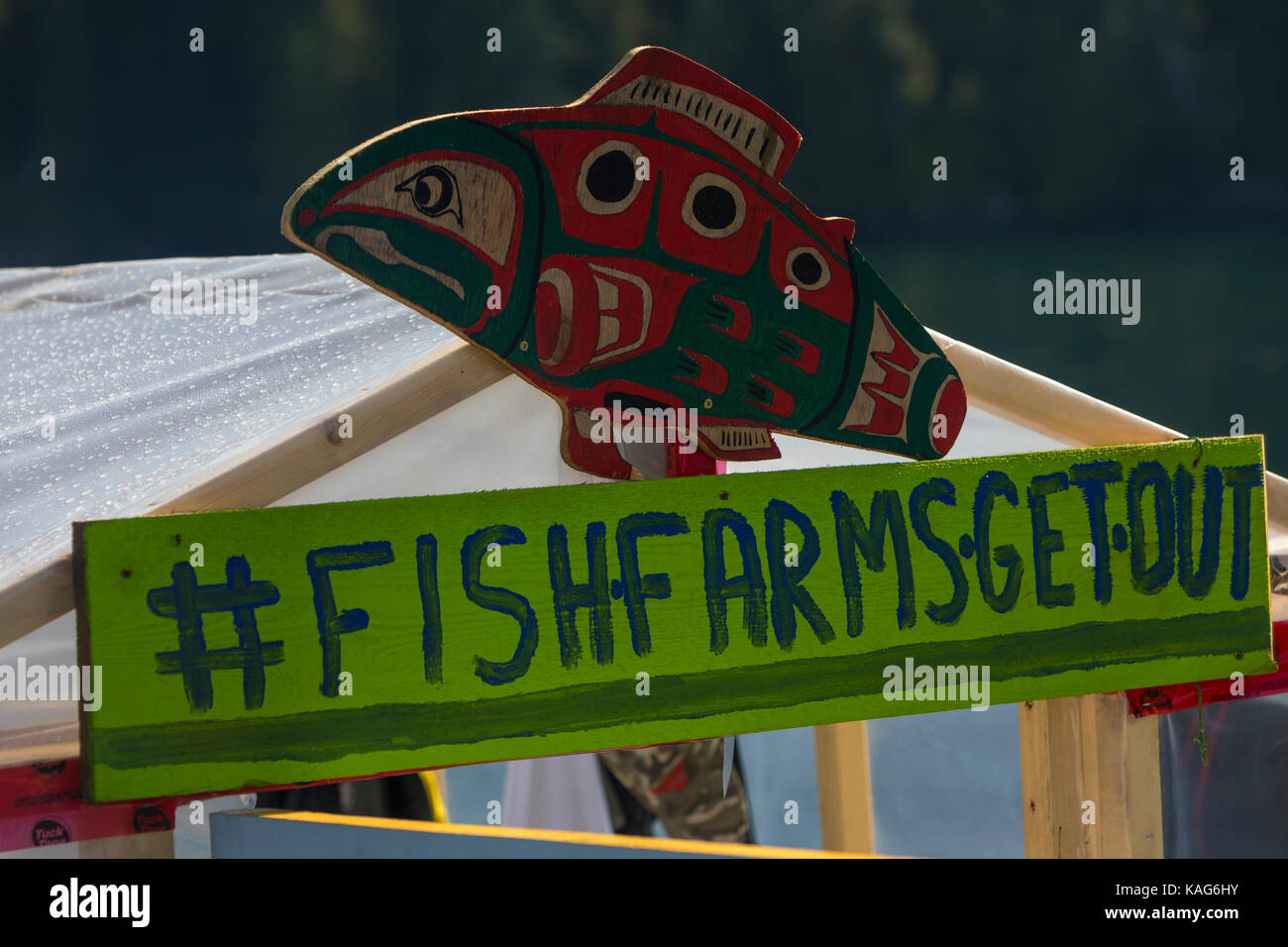 First Nations Protest gegen Fischzuchtbetriebe in British Columbia, Fischzucht Besetzung, Kanada Stockfoto