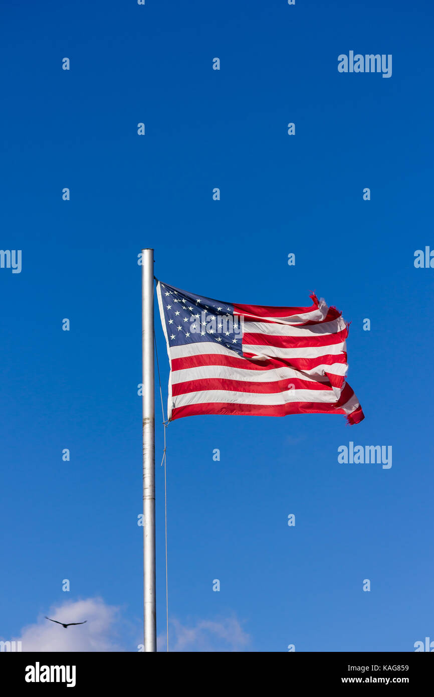 Tattered US-Flagge bei starkem Wind. Stockfoto