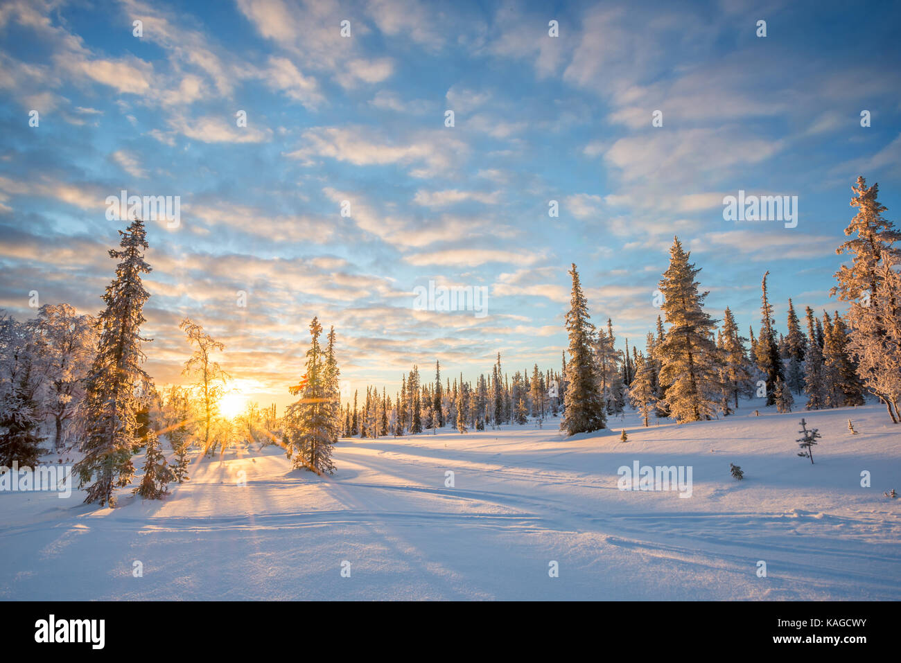 Verschneite Landschaft bei Sonnenuntergang, gefrorene Bäume im Winter in Saariselkä, Lappland, Finnland Stockfoto
