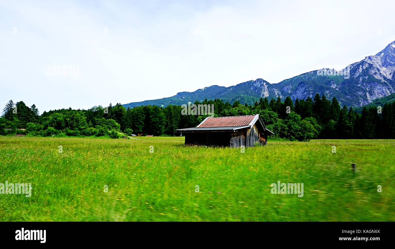 Eine Scheune Haus stand alone im grünen Feld mit Blick auf die Zugspitze, Grainau, Deutschland Stockfoto