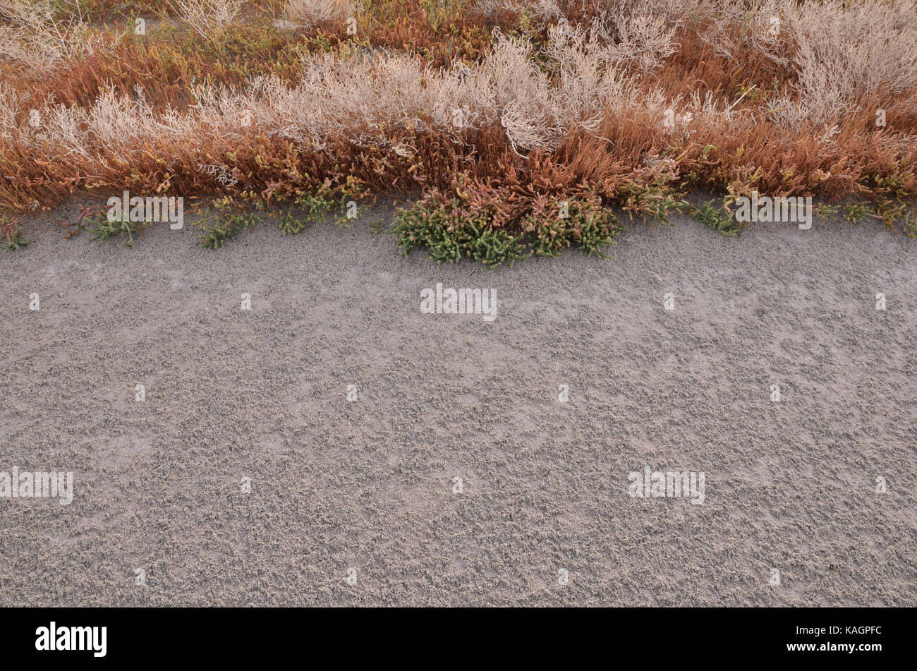 Bild der Great Salt Lake in der Nähe von saltair Stockfoto