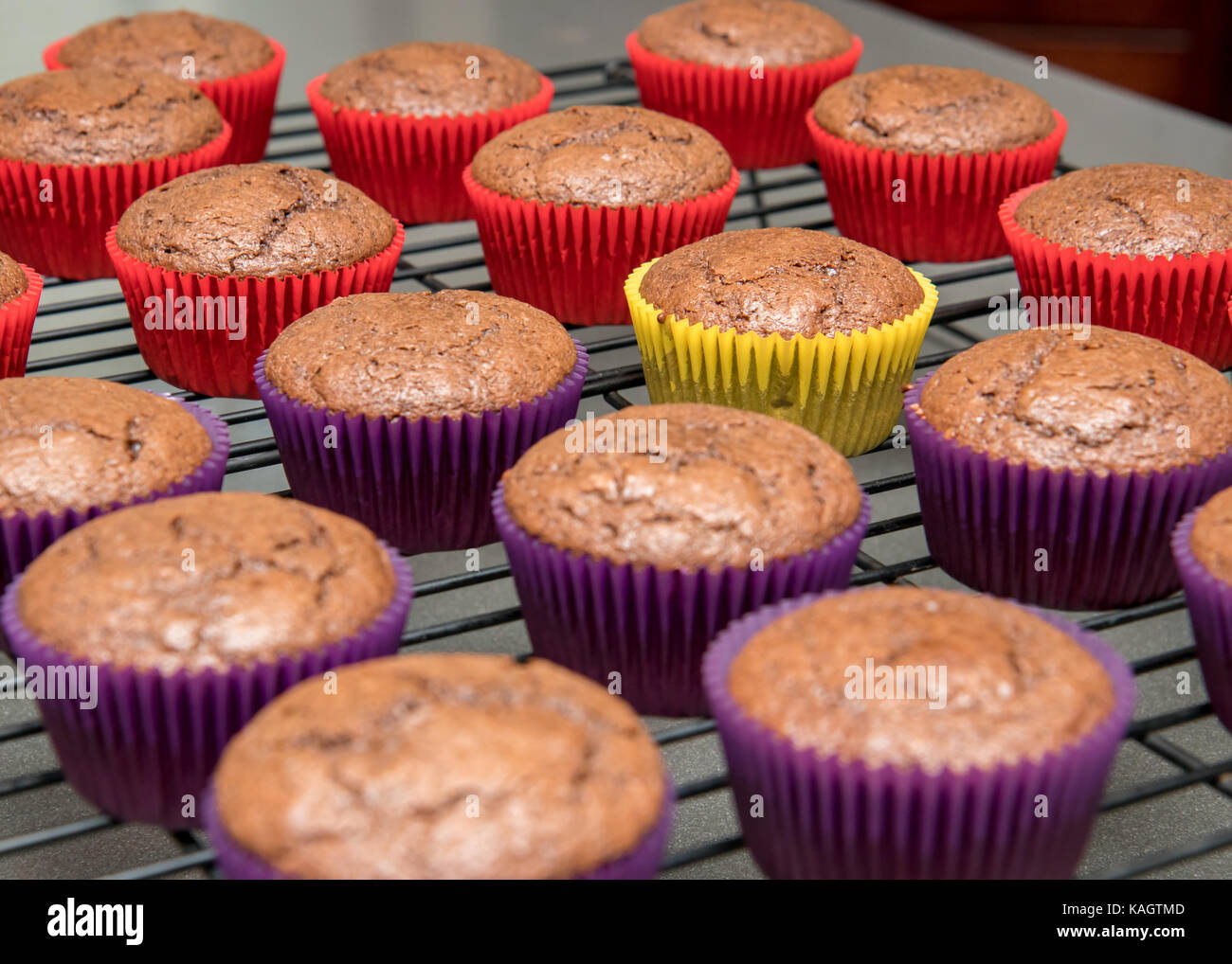 Chocolate cupcakes Kühlung auf Draht Rack Stockfoto