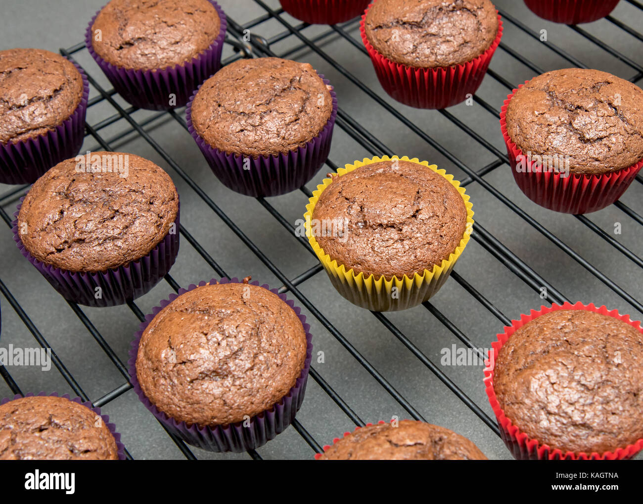 Chocolate cupcakes Kühlung auf Draht Rack Stockfoto