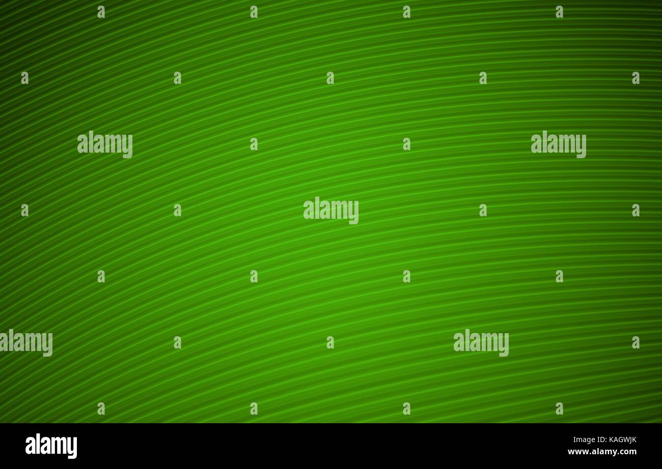 Einfache grüne Hintergrund Abbildung mit geschwungenen Linien. Stockfoto