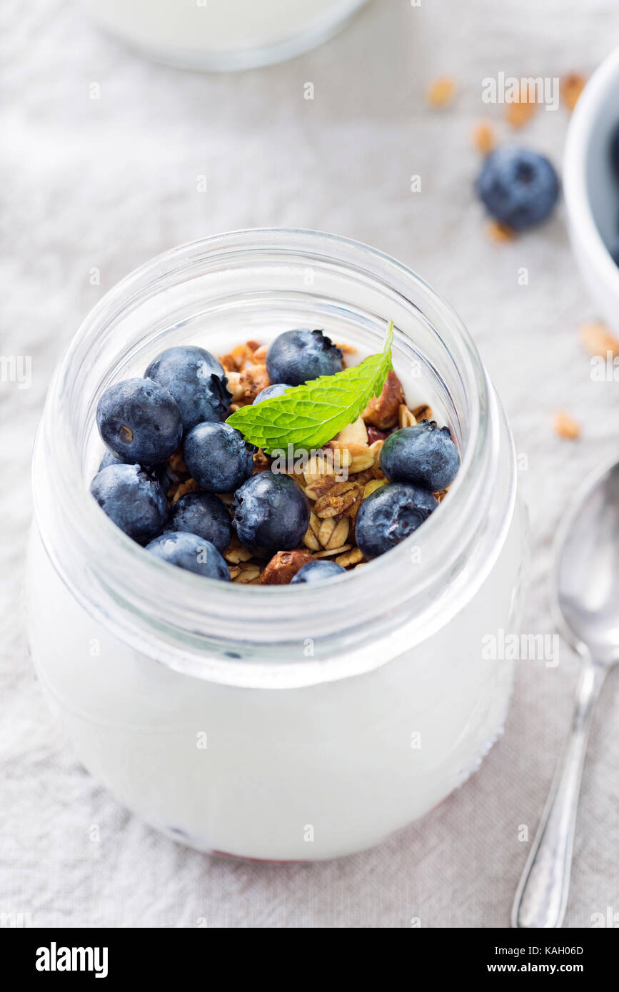 Natürliche griechischer Joghurt mit Heidelbeeren und Müsli mit Minzeblatt in einem Glas eingerichtet. Detailansicht. gesunde Snacks, Frühstück, Diät Lebensmittel Stockfoto