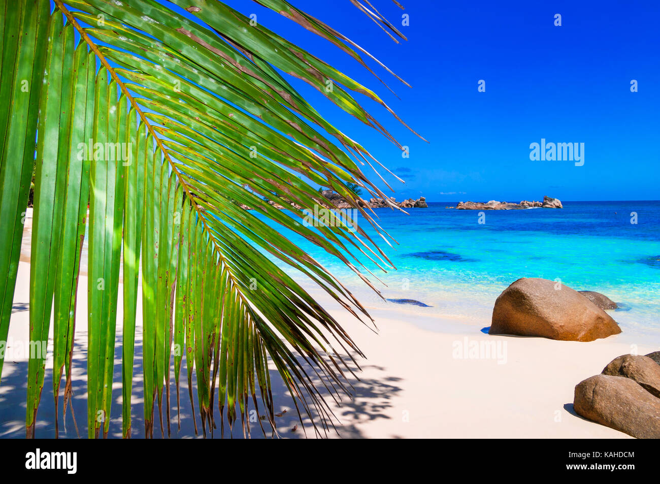 Schönen Strand der Seychellen Insel. Stockfoto