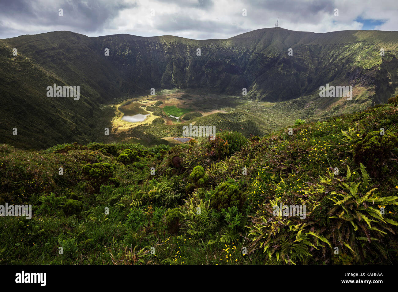 Blick in den Vulkankrater, Caldera, Vulkan Cabeço Gordo, Faial, Azoren, Portugal Stockfoto