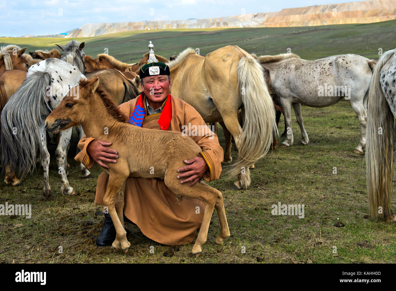 Mongolische Mann, Pferd, Hirten, in traditioneller Kleidung mit Fohlen und Herde von Pferden, Mongolei Stockfoto